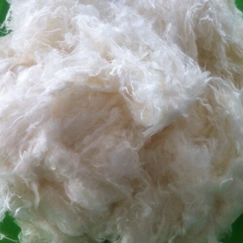 Biodegradable Material Fiber